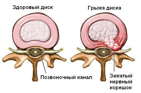 текст при наведении