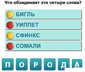 текст при наведении