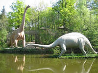 Брахтиозавры являлись растительноядными динозаврами