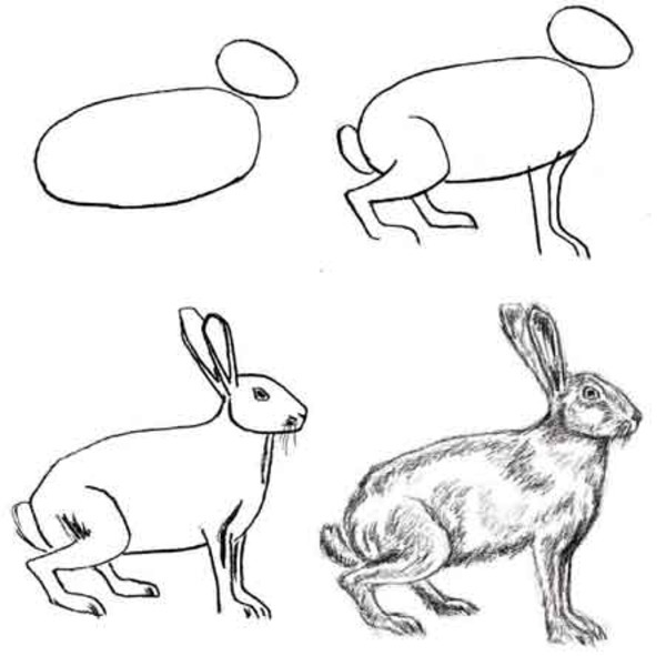 Как нарисовать зайца беляка поэтапно карандаш краски детям мастер-класс?