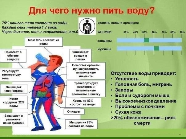 текст при наведении