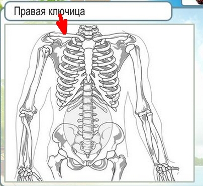 текст при наведении