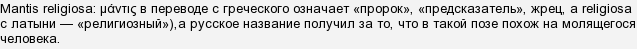 какое существо по латыни называется мантис религиоза в поле чудес