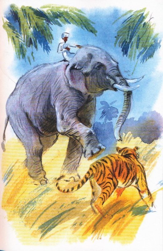 Как ты оцениваешь поступок хозяина в рассказе как слон спас хозяина от тигра