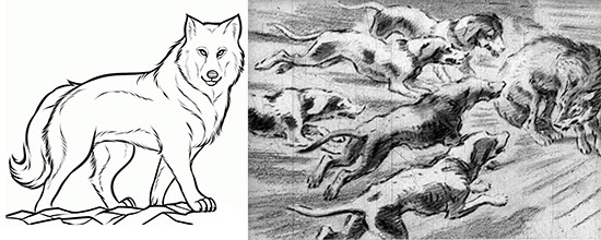 Как нарисовать басню "Волк на псарне" поэтапно?