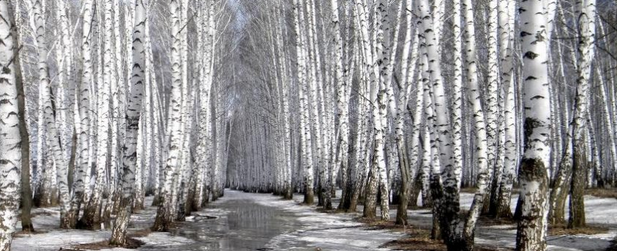 зима закончилась