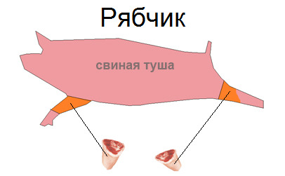 Как пишется рябчик проверочное слово