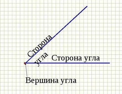 Что такое вершина и стороны угла выполните чертеж