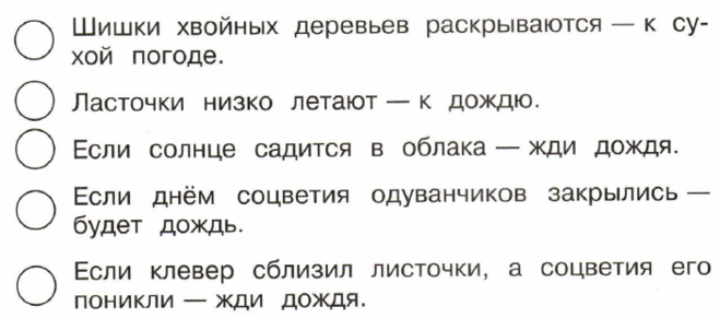 Если соцветия одуванчиков закрылись. Приметышишки хвойныйны деревьев раскрываются. Шишки хвойных деревьев раскрываются примета. Шишки заойныз леревтев раскрываются при. Примета если шишки хвойных деревьев раскрываются.