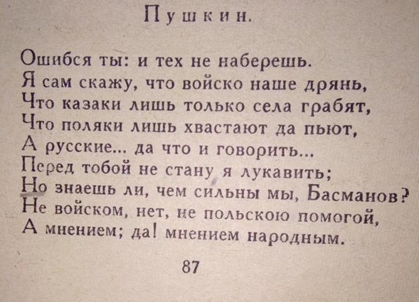 В чем смысл слов Пушкина о том, что "они сильны мнением народным"?