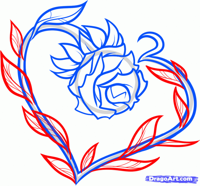 как нарисовать сердце поэтапно, как нарисовать сердце к 14 Февраля, как нарисовать сердце с розой поэтапно