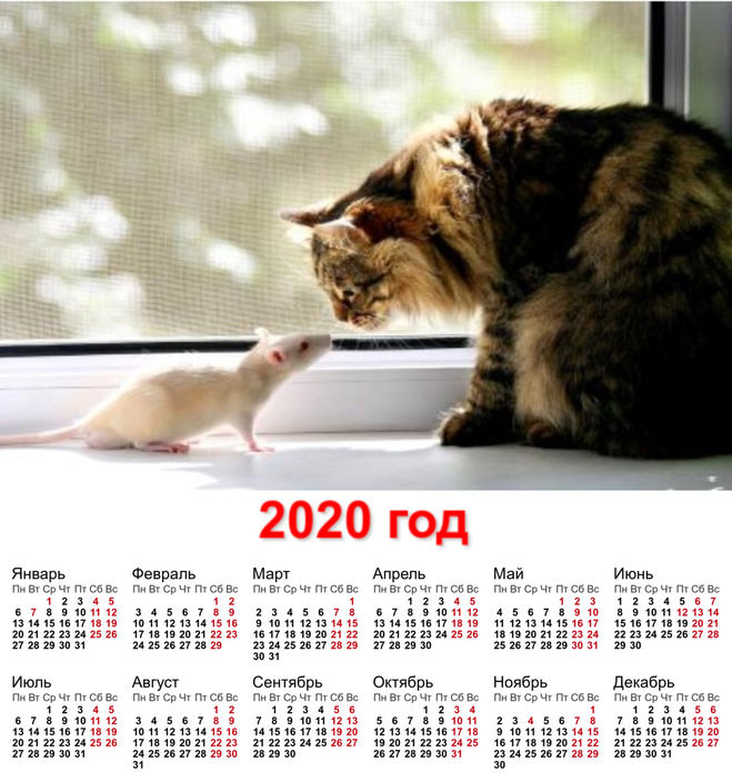 календарь 2020 с крысой и котом