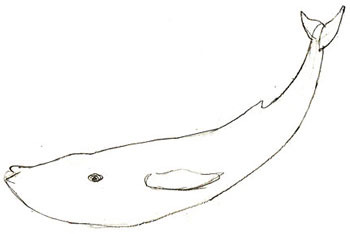 рисовать кита 3