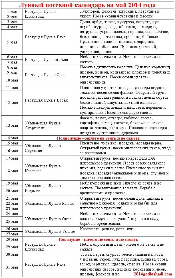 текст при наведении