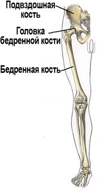 текст при наведении