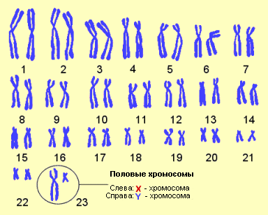 текст при наведении