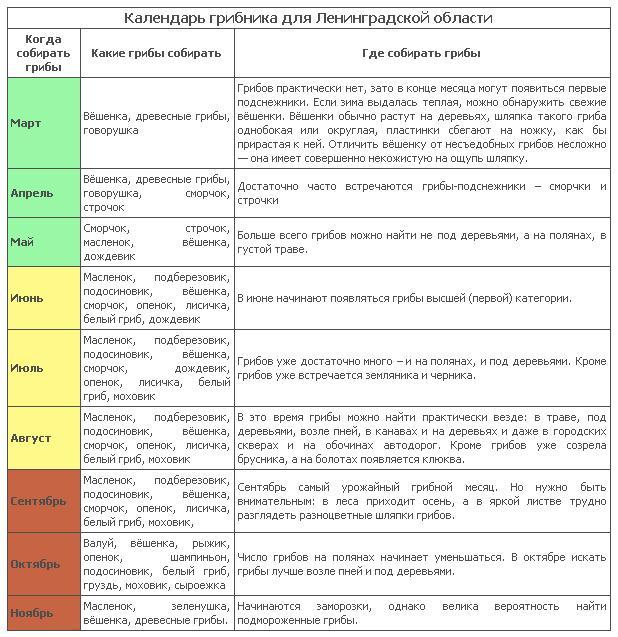 календарь грибника для Ленинградской области