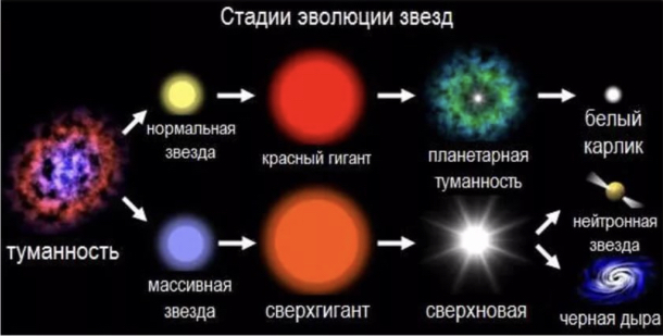 Что неживое может расти