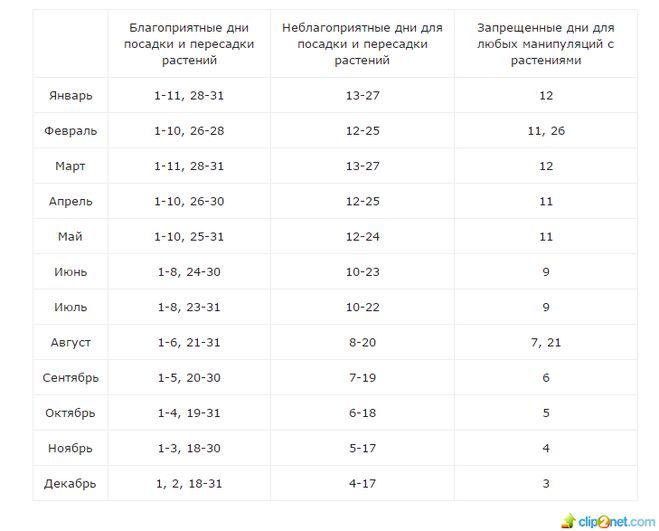 Лунный календарь цветовода на 2017 год (пересадка комнатных растений