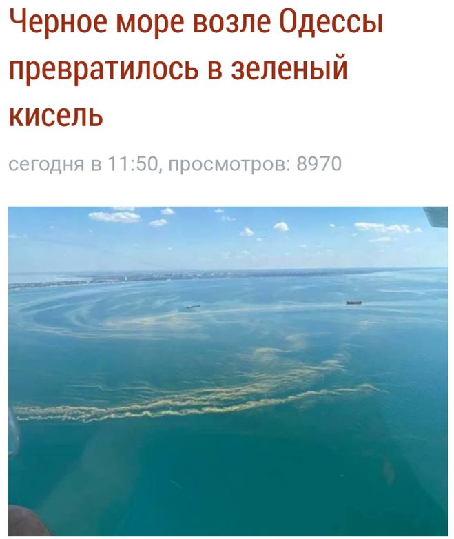 Одесса - Черное море, кисельные берега