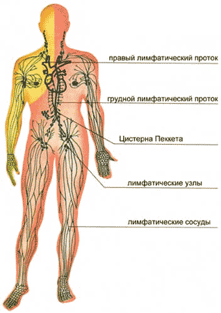 текст при наведении