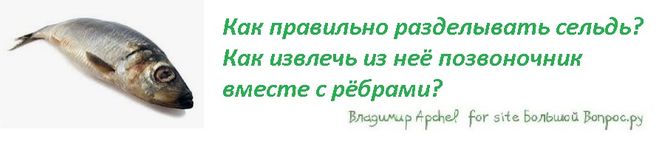 Как правильно разделывать сельдь?  Как извлечь из неё позвоночник   вместе с рёбрами?