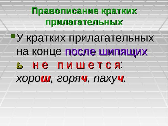 Пахуч как пишется правильно и почему