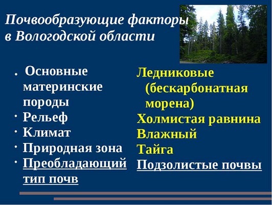 Климатическая зона Вологодской области