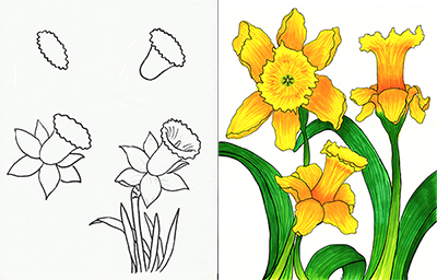 Как нарисовать рисунок "Красота весны" нарциссы