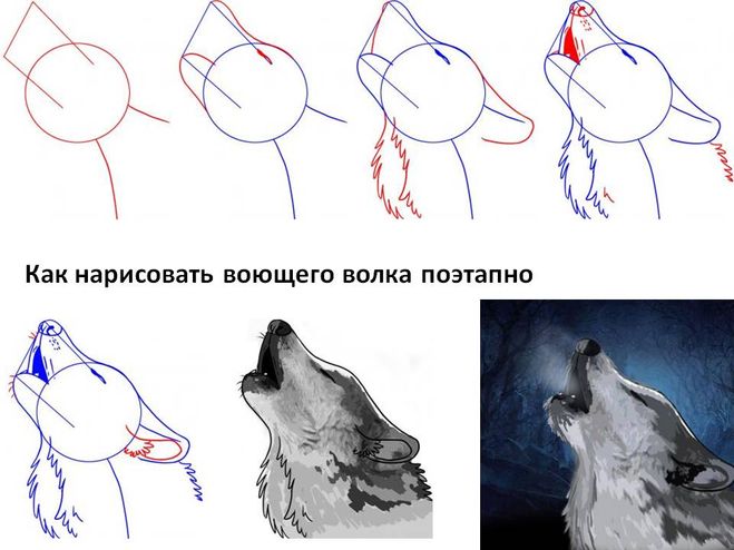 текст при наведении