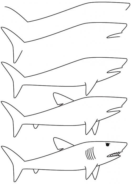 поэтапное рисование акулы