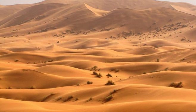 Живут ли люди в пустыне Сахара?