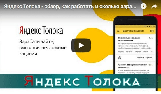 Яндекс Толока заработок онлайн