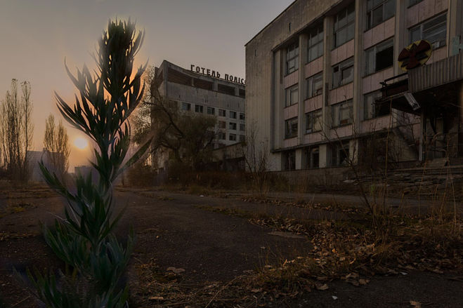 Чернобыль город и трава