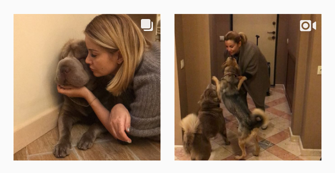 Ольга Орлова любит собак