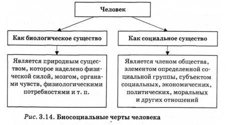 текст при наведении