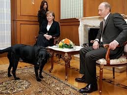 Конни; Ангела Меркель; Собаки Путина