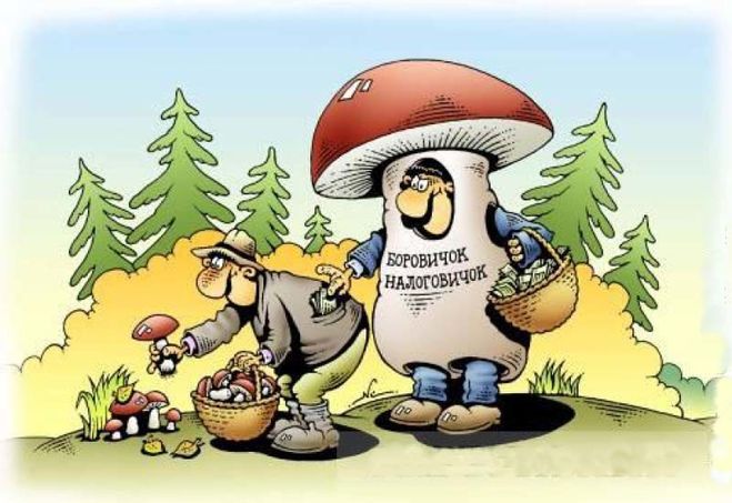 налог на грибы и ягоды