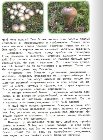 Книга "Зеленые страницы" рассказ "Зачем грибы лесу