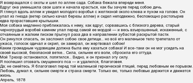 Многие думают что быть искренним изложение текст. Изложение Воробей Тургенев. Изложение отчаянный Воробей. Изложение Воробей. Текст отчаянный Воробей изложение 5 класс текст.