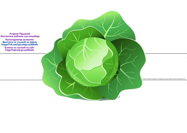 Капуста картинка для детей на голову