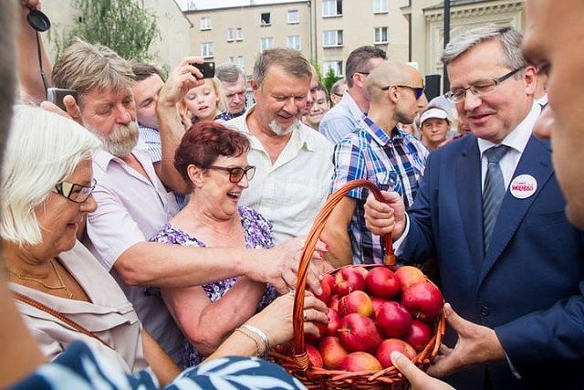 текст при наведении