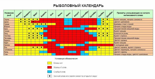 текст при наведении