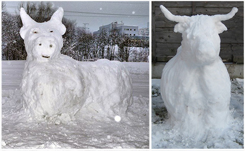 корова из снега, бык из снега