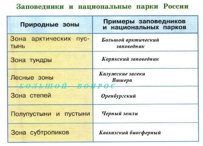 Заповедники природных зон России. Заповедники таблица. Примеры заповедников и Националь парков. Природные заповедники России таблица.