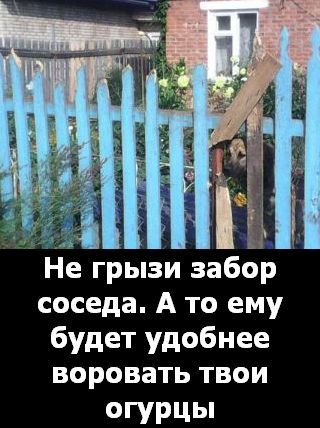 текст при наведении