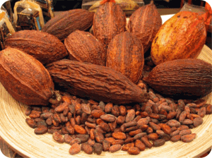 Плоды шоколадного дерева(какао-бобы