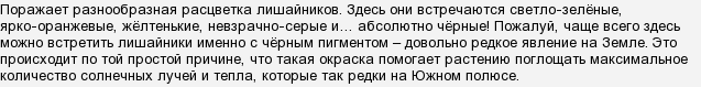 самая распространенная форма наземной жизни в антарктике насчитывается до 300 видов