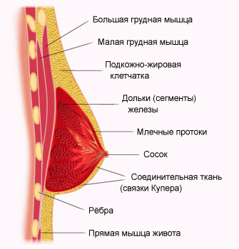 текст при наведении