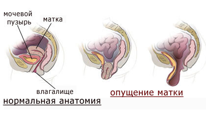 текст при наведении